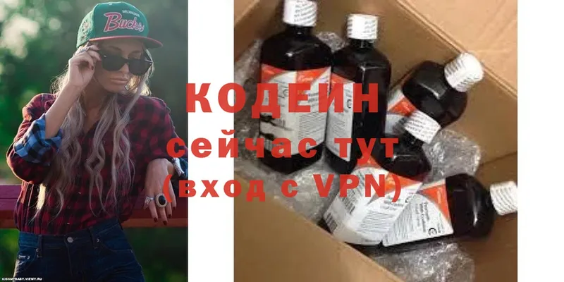 Кодеиновый сироп Lean Purple Drank  продажа наркотиков  Елизово 